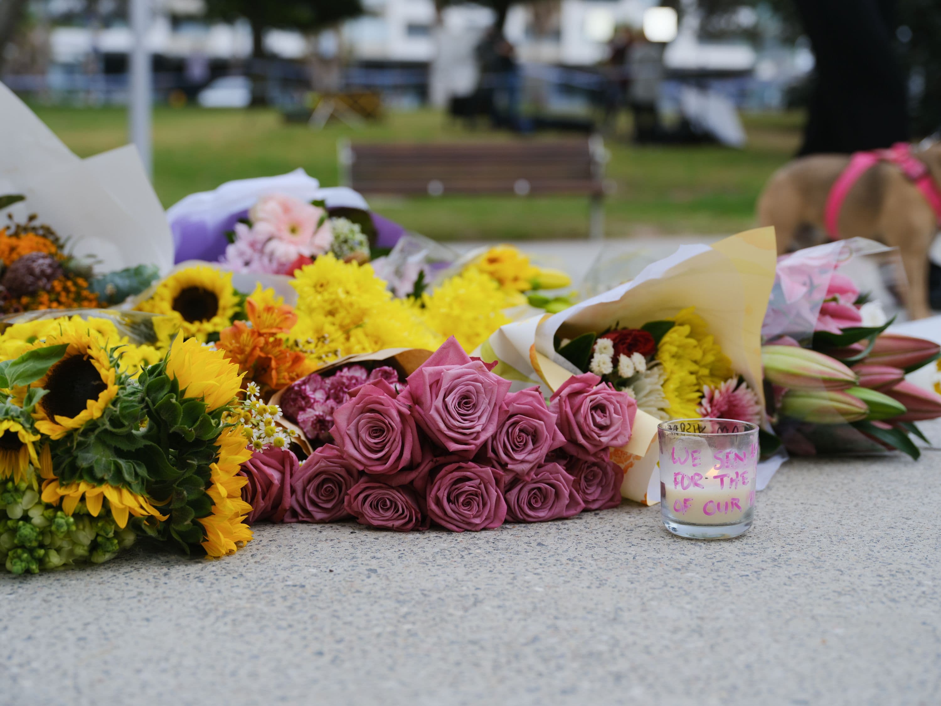 What we know about Bondi terror attack perpetrators