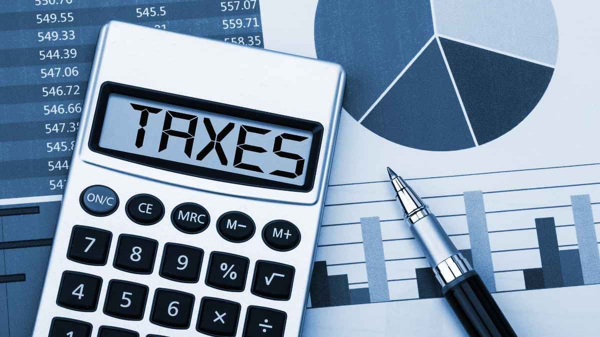 Almost 30% of largest companies paid no tax in 2023/24