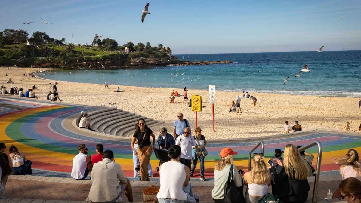 Shark management strategies debated following Coogee attack