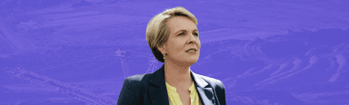 Two coal mines, including the China Stone coal mine, have been cancelled by Environment Minister Tanya Plibersek