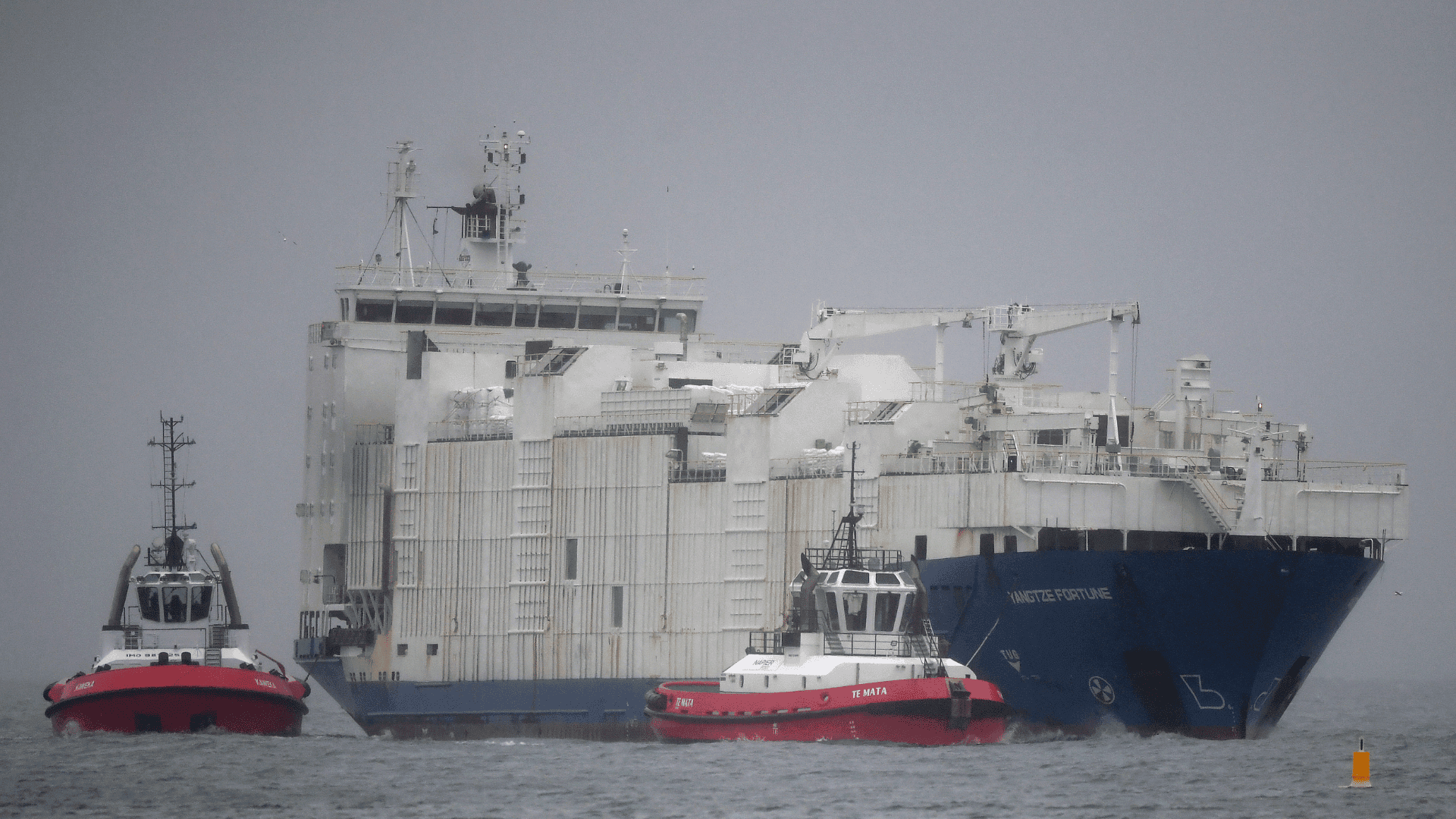 Live sheep export ban planned for 2028