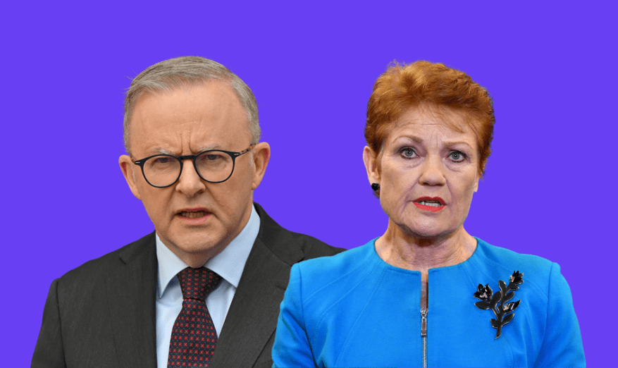 One Nation keeps topping the polls. But how do they work?