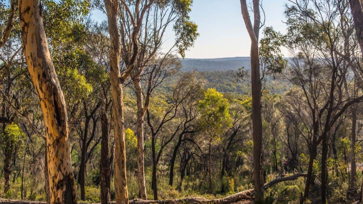 Govt vows to overhaul national environment law before 2026