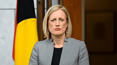 A taskforce wants the govt to expand paid parental leave