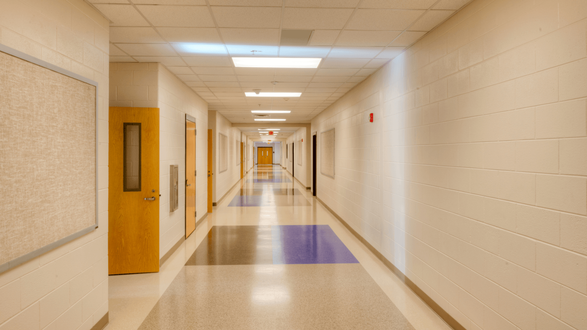 One in two principals face violence in schools