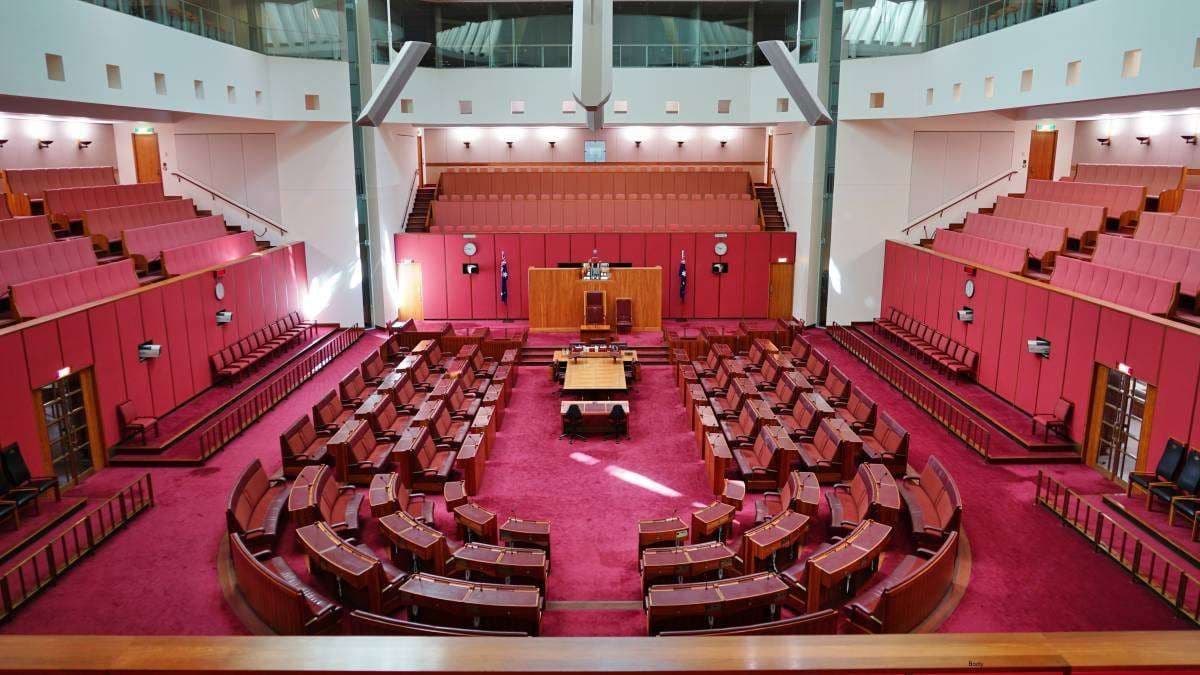Senate results reveal Labor and One Nation increase