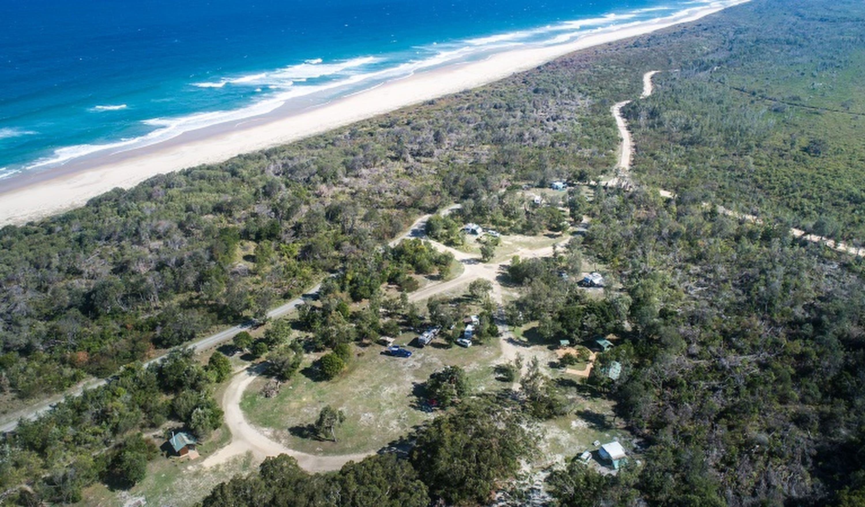 What we know about the shark attack yesterday in NSW