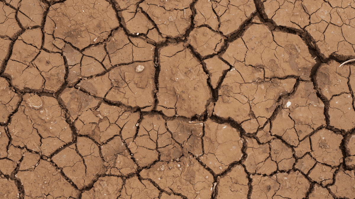 Parts of South Australia and Victoria are in drought
