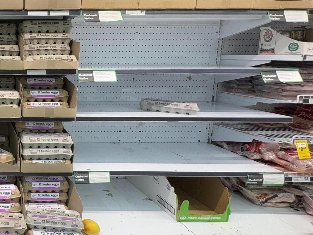 What's happening with Australia's egg shortage?