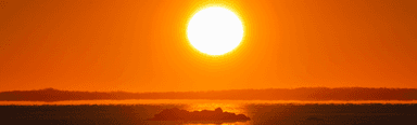 The world has recorded its hottest week ever