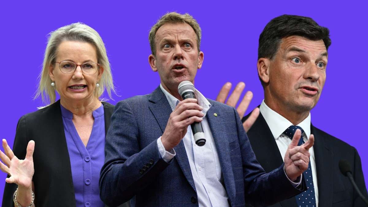 Who will next be the next leader of the Liberal Party?
