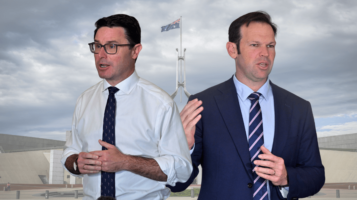 The Nationals are choosing their next party leader