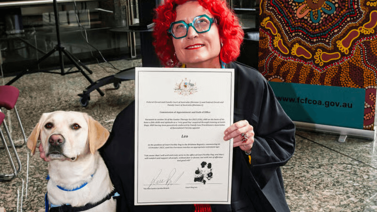 The Queensland courts have their first support dog