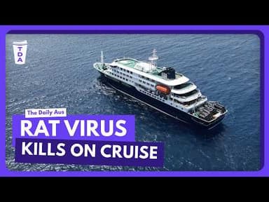 The hantavirus outbreak on a cruise ship