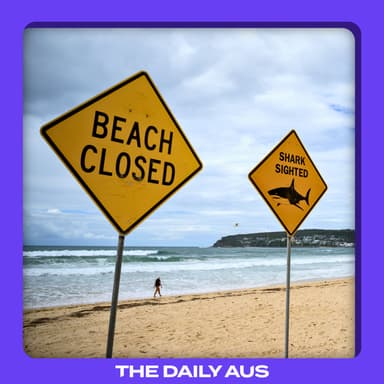 Why are there so many shark attacks right now?