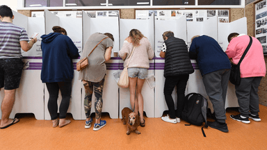 Here's your guide to voting in the federal election