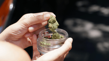 NSW to introduce laws for drivers using medicinal cannabis