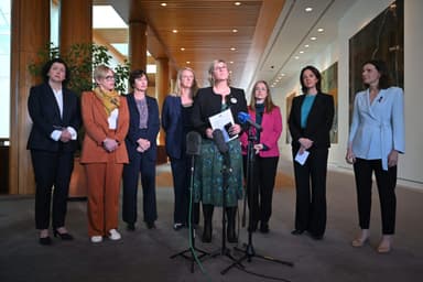 Federal election 2025: What are independent candidates?