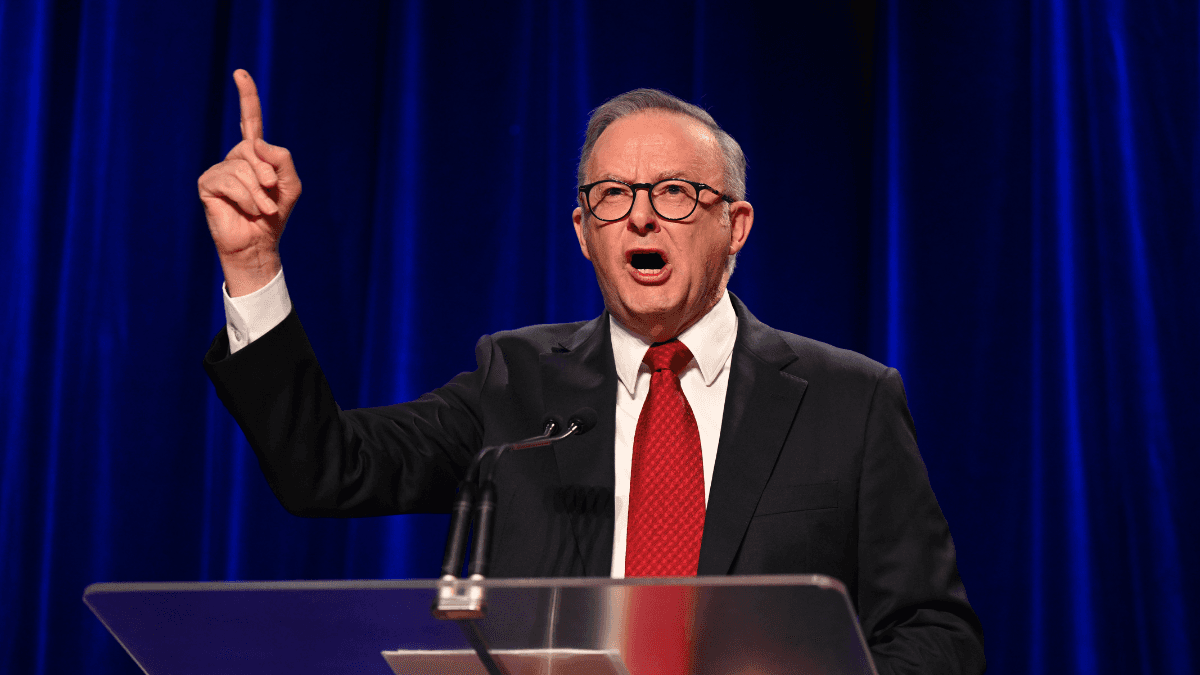 Labor wins the federal election with a majority government