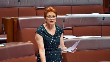 New poll puts One Nation ahead of Labor for the first time