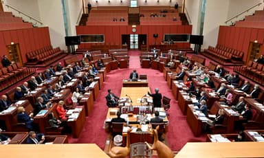 Federal Election 2025: What happened in the Senate?