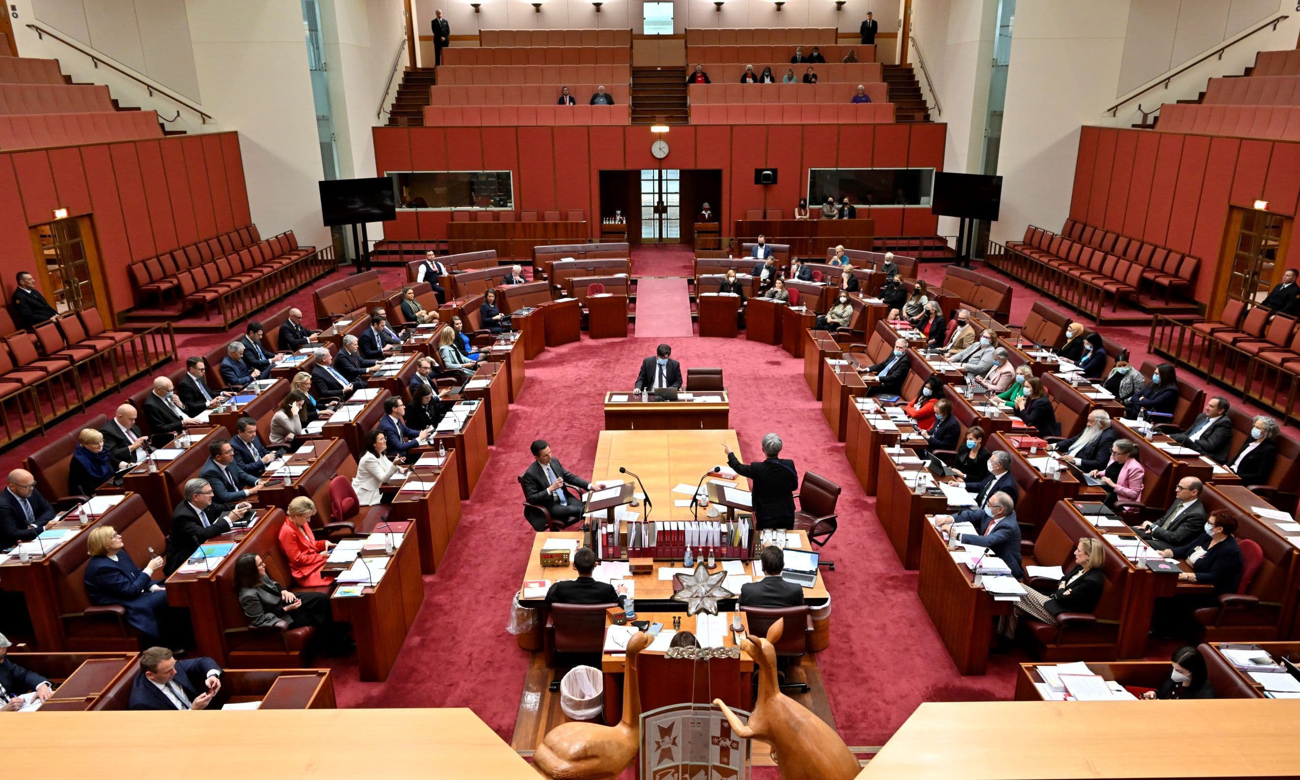 Federal Election 2025: What happened in the Senate?
